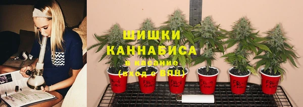 MESCALINE Зеленодольск