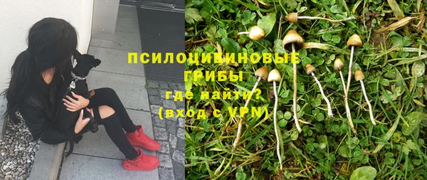 альфа пвп Зеленокумск