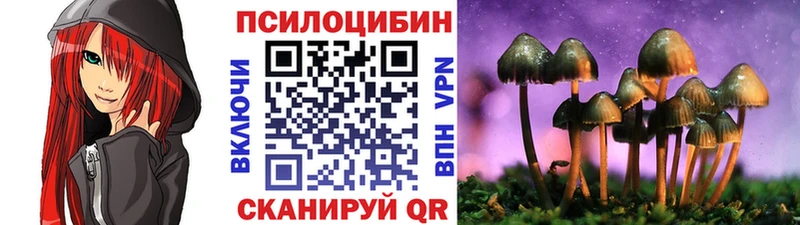 Купить закладки  Макушино  Галлюциногенные грибы Psilocybine cubensis 